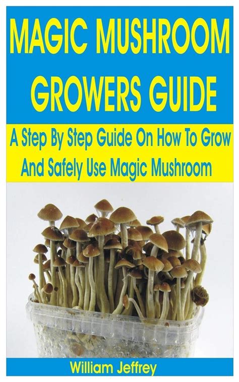 Open Your Mind to New Heights: eBay's Best Magic Mushroom Products